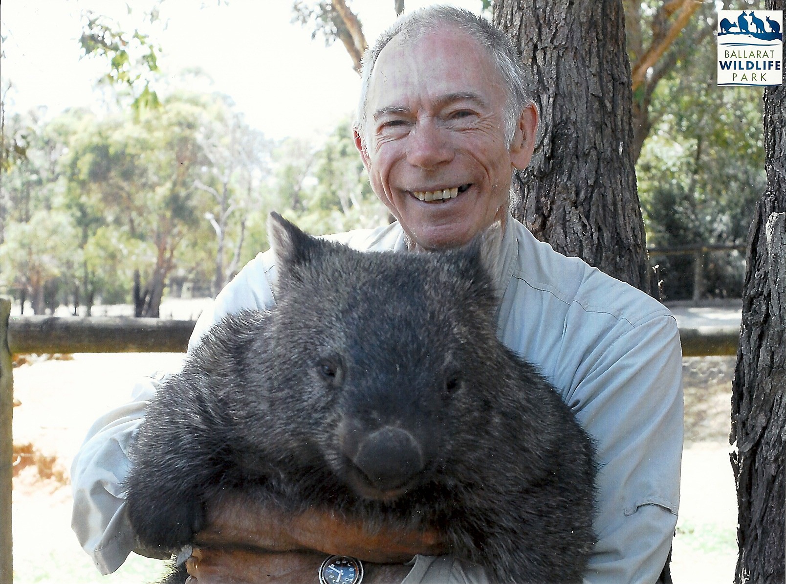 A wombat called Boo