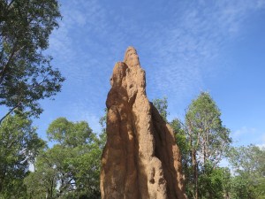 Cathedral termite mound