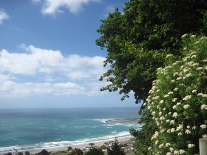 View from headland
