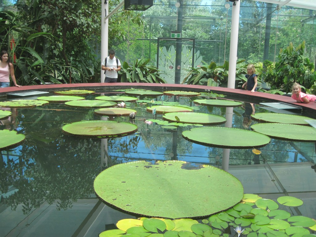 A serene indoor pond filled with large lily pads and several pink water lilies, surrounded by lush greenery. Two adults and two children are interacting with the pond, observing the plants.