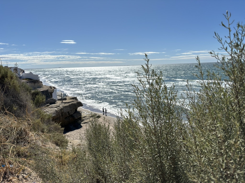 A scenic view of the ocean with gentle waves, framed by green shrubbery and rocky cliffs, under a clear blue sky. Two people walk along the sandy beach in the distance.