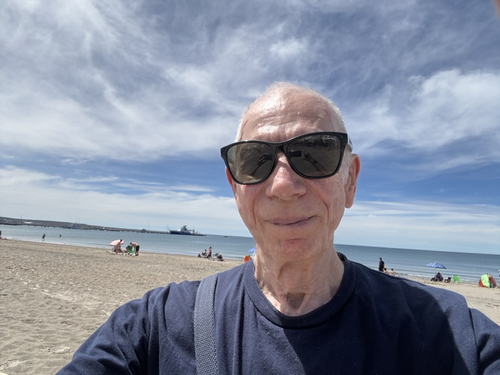 A person wearing sunglasses takes a selfie on the beach with a scenic view of the ocean and cloudy sky in the background. People are visible enjoying the beach.