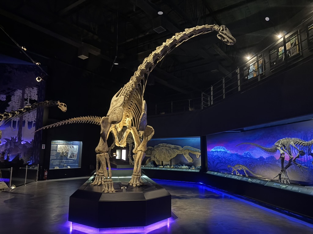 A large dinosaur skeleton on display in a dimly lit museum, surrounded by smaller dinosaur skeletons and informative panels in the background.