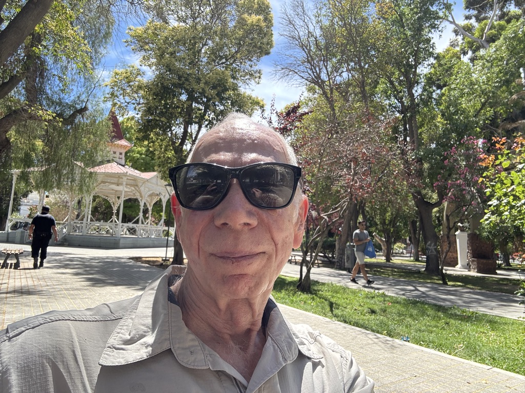 A man wearing sunglasses takes a selfie in a sunny park with trees and a gazebo in the background.