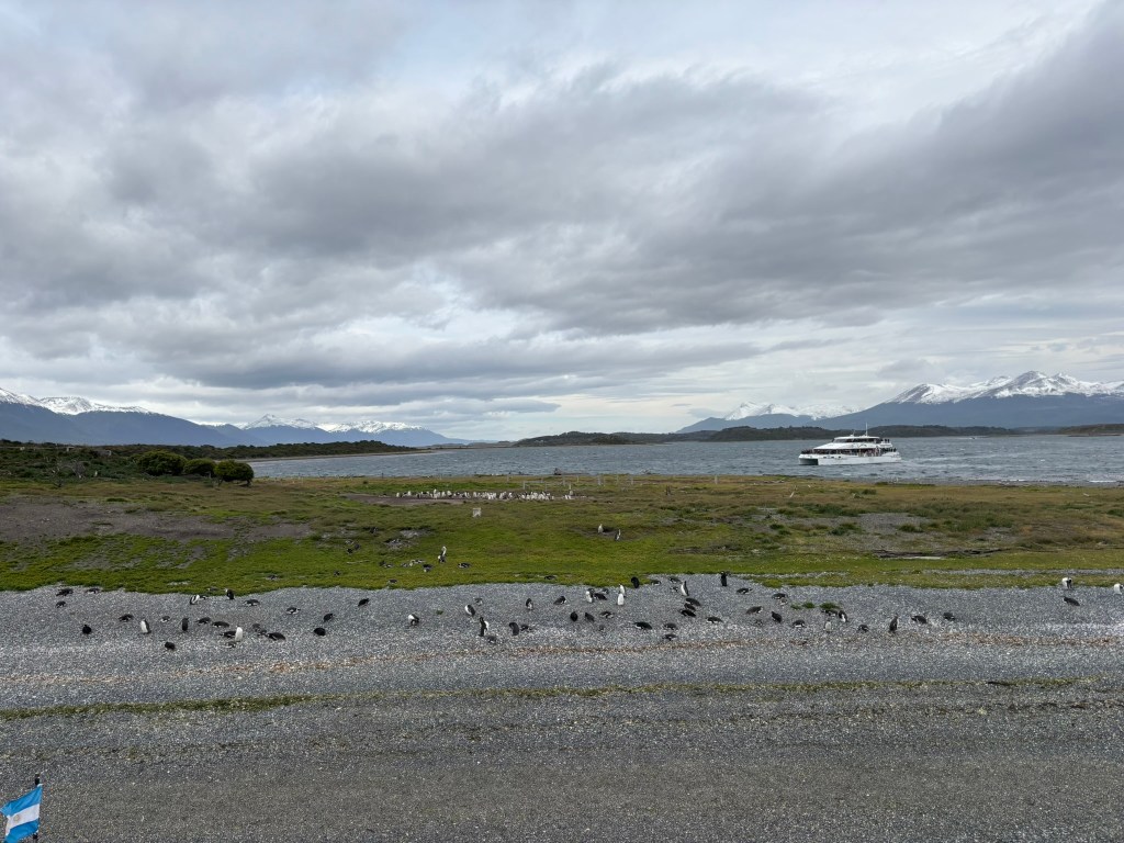 A scenic view of a rocky shoreline with numerous birds scattered across the gravel, against a backdrop of snow-capped mountains and a cloudy sky. A boat is visible on the water in the distance.