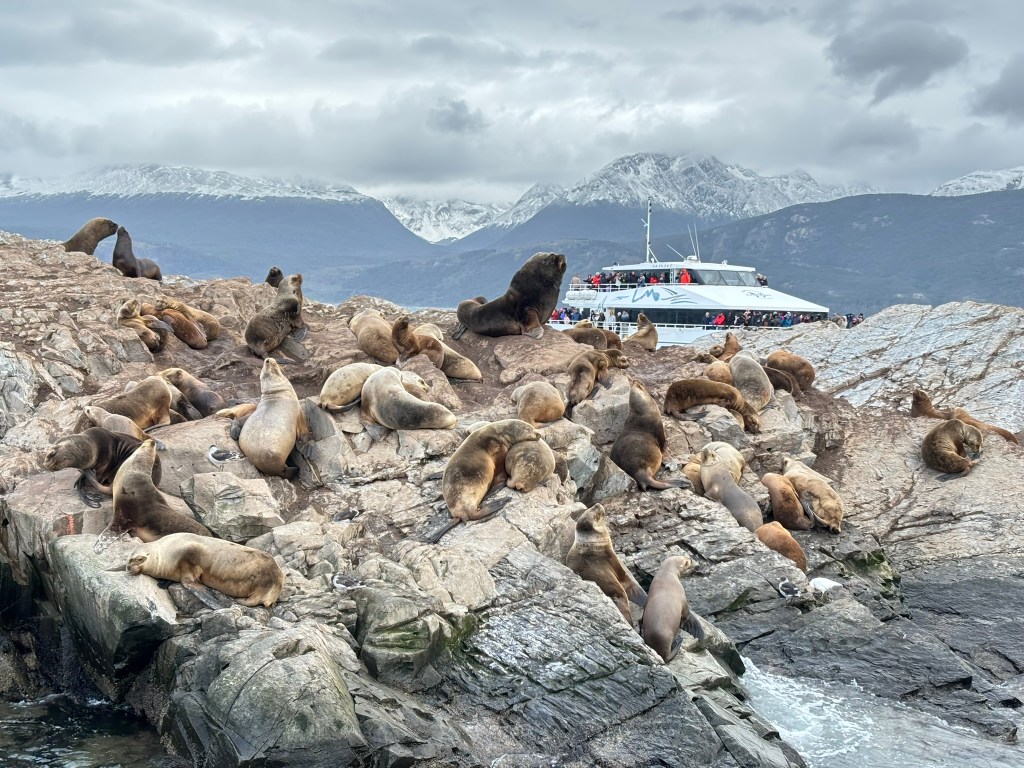 A rocky coastline populated by numerous sea lions basking on the rocks, with a tour boat in the background and snowy mountains under a cloudy sky.